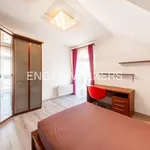 Rent 1 bedroom house of 304 m² in Capital City of Prague