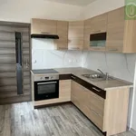 Rent 1 bedroom apartment of 25 m² in Pardubice