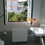 Rent 6 bedroom house of 300 m² in Vari Municipal Unit