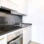 Rent 2 bedroom apartment of 50 m² in Milano