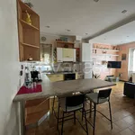 Rent 2 bedroom apartment of 50 m² in Rapallo