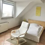 Rent 1 bedroom house of 25 m² in Cologne