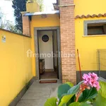 Rent 2 bedroom apartment of 50 m² in Velletri