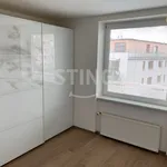 Pronajměte si 4 ložnic/e byt o rozloze 170 m² v Prague