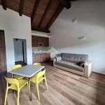 Rent 2 bedroom apartment of 45 m² in Mezzenile