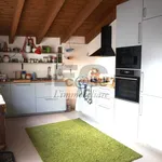 Rent 3 bedroom apartment of 100 m² in Monza