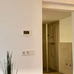 Rent 1 bedroom apartment of 45 m² in Kaiserslautern