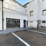 Rent 2 bedroom apartment of 97 m² in Padua