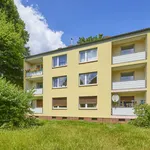 Rent 3 bedroom apartment of 65 m² in Dortmund