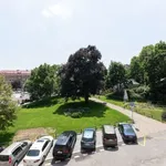 Pronajměte si pokoj o rozloze 113 m² v prague