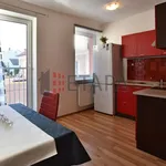 Rent 2 bedroom apartment of 38 m² in České Budějovice