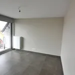 Rent 2 bedroom apartment in TORHOUT