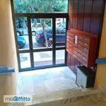 Rent 2 bedroom apartment of 50 m² in Bari