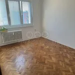 Rent 2 bedroom apartment of 57 m² in Bruntál