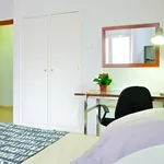 Rent 4 bedroom apartment in Alicante