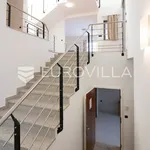 Rent 7 bedroom house of 585 m² in Zagreb