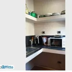 Rent 2 bedroom apartment of 50 m² in Florence