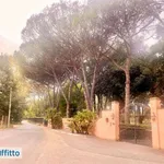 Rent 4 bedroom apartment of 200 m² in Rome