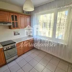 Rent 1 bedroom apartment of 49 m² in Żory