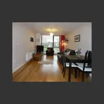 Rent 3 bedroom apartment of 65 m² in Dublin