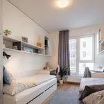 Studio of 17 m² in Capital City of Prague