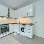 Rent 1 bedroom apartment in Znojmo