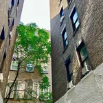 Rent 1 bedroom apartment in Manhattan