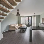 Rent 5 bedroom house of 129 m² in Rietbuurt