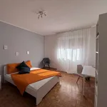 Rent a room in trento