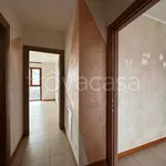 Rent 2 bedroom apartment of 58 m² in Torino