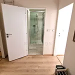 Rent 2 bedroom apartment in Praha 2