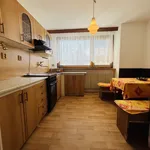 Rent 1 bedroom apartment in Ostrava