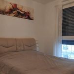 Rent 3 bedroom apartment of 62 m² in Puteaux