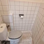 Pronajměte si 2 ložnic/e byt o rozloze 52 m² v Prague