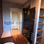 2-room flat via Trieste 4/A, Centro, San Donato Milanese