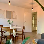 Rent 2 bedroom apartment of 47 m² in Essen