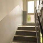 Rent 3 bedroom apartment of 59 m² in Domsühl