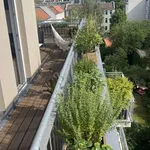 Rent 1 bedroom apartment in berlin