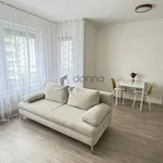 Pronajměte si 2 ložnic/e byt o rozloze 44 m² v Prague