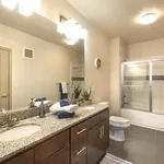 Rent 1 bedroom apartment in Austin