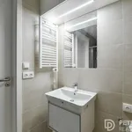 Rent 2 bedroom apartment in Praha 5