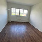  appartement avec 1 chambre(s) en location à Montreal