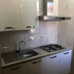 Rent 1 bedroom apartment of 45 m² in Cremona