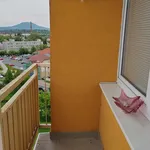 Rent 1 bedroom apartment in Litoměřice