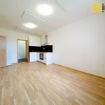 Pronajměte si 1 ložnic/e byt o rozloze 36 m² v Pilsen