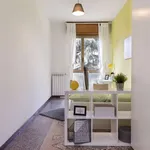 Rent a room in bologna