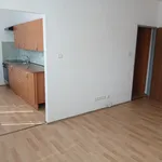 Rent 1 bedroom apartment in Náchod