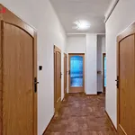 Rent 2 bedroom apartment of 80 m² in České Budějovice