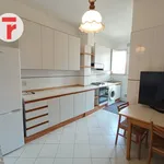 Rent 3 bedroom apartment of 110 m² in Padua