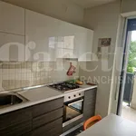 Rent 2 bedroom apartment of 68 m² in Milano